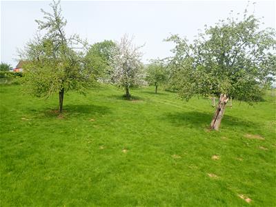 Picture 28